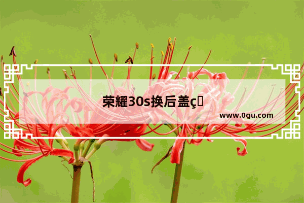 荣耀30s换后盖玻璃