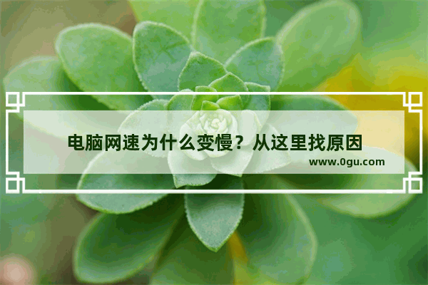 电脑网速为什么变慢？从这里找原因