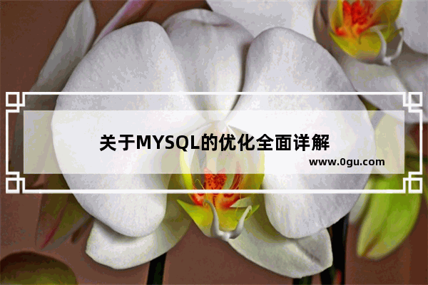 关于MYSQL的优化全面详解
