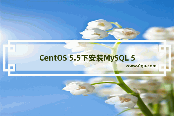 CentOS 5.5下安装MySQL 5.5全过程分享