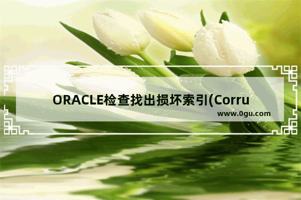 ORACLE检查找出损坏索引(Corrupt Indexes)的方法详解