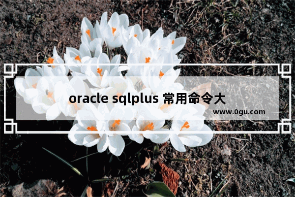 oracle sqlplus 常用命令大全