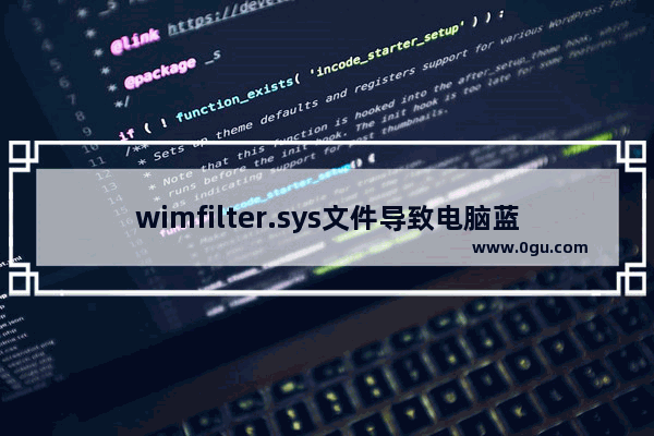 wimfilter.sys文件导致电脑蓝屏的图文解决方法