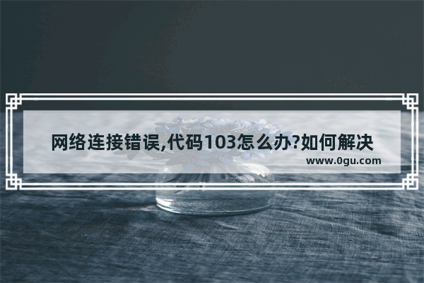 网络连接错误,代码103怎么办?如何解决?