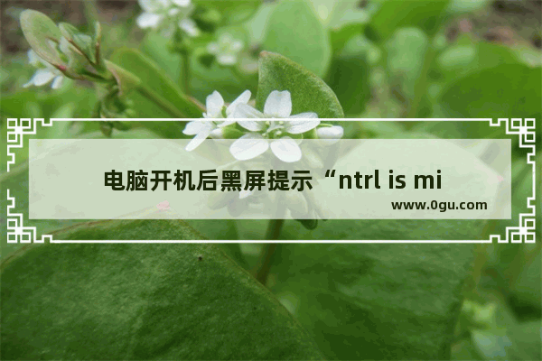 电脑开机后黑屏提示“ntrl is missing press alt+ctrl+del resset”怎么解决