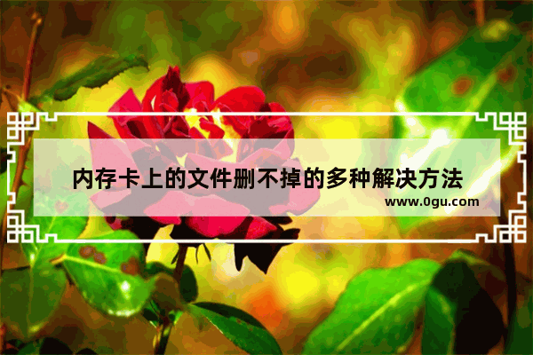 内存卡上的文件删不掉的多种解决方法