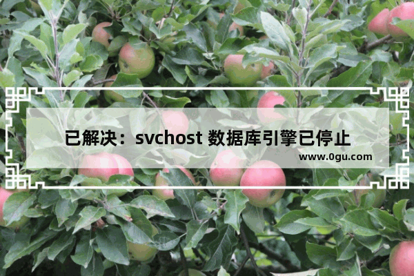 已解决：svchost 数据库引擎已停止 已启动5分钟反复出现，MSSQL无法连接