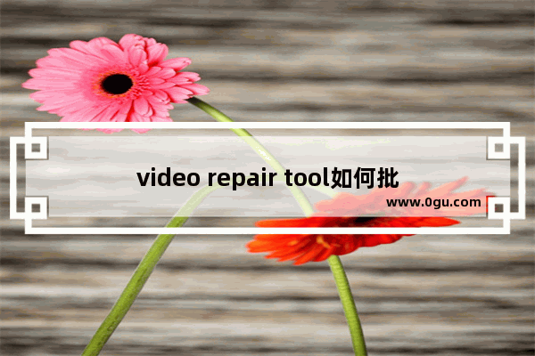 video repair tool如何批量修复视频文件 video repair tool批量修复视频文件的方法