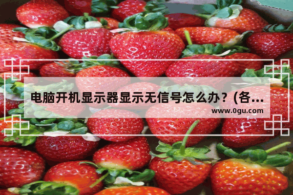 电脑开机显示器显示无信号怎么办？(各种诊断方法总结)
