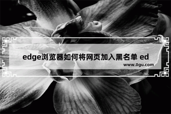 edge浏览器如何将网页加入黑名单 edge浏览器拉黑网站的方法