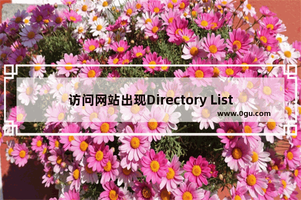 访问网站出现Directory Listing Denied的原因以及解决方法