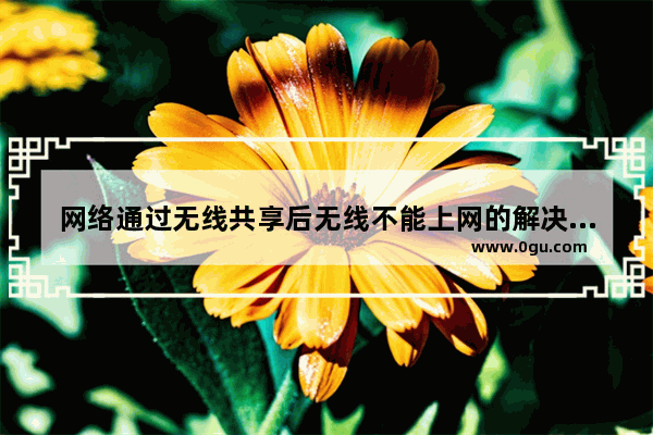 网络通过无线共享后无线不能上网的解决方法