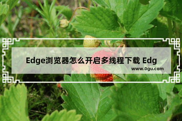 Edge浏览器怎么开启多线程下载 Edge浏览器开启多线程下载的方法