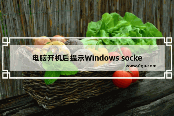 电脑开机后提示Windows socket initialize failed无法上网怎么办