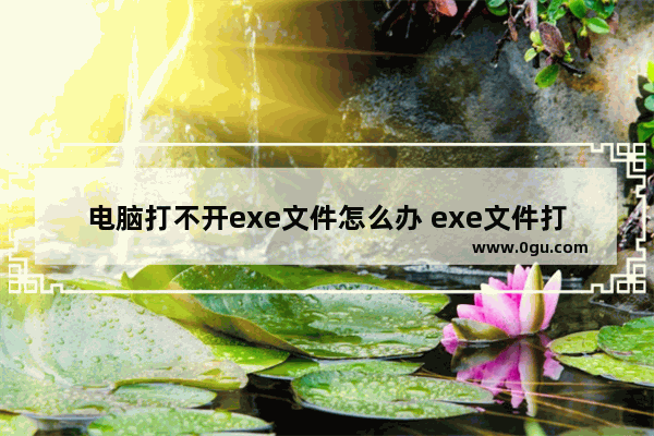 电脑打不开exe文件怎么办 exe文件打不开的解决方法