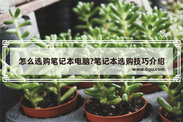 怎么选购笔记本电脑?笔记本选购技巧介绍