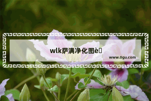 wlk萨满净化图腾是团队还是小队
