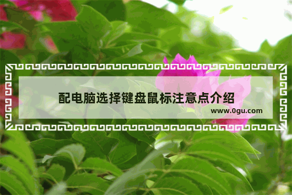 配电脑选择键盘鼠标注意点介绍