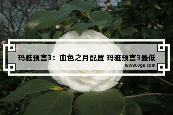 玛雅预言3：血色之月配置 玛雅预言3最低配置及要求