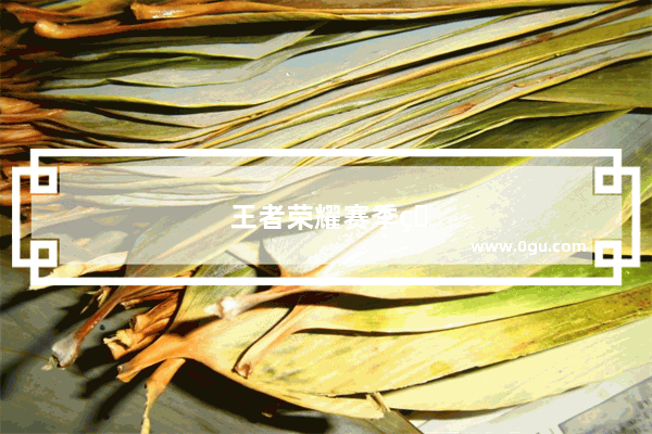 王者荣耀赛季皮肤在哪里领取，王者荣耀赛季皮肤在哪里领取27