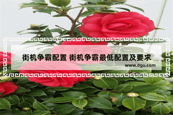 街机争霸配置 街机争霸最低配置及要求