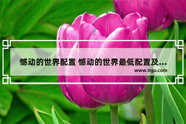 憾动的世界配置 憾动的世界最低配置及要求