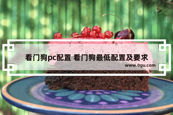 看门狗pc配置 看门狗最低配置及要求