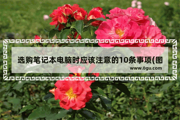 选购笔记本电脑时应该注意的10条事项(图)