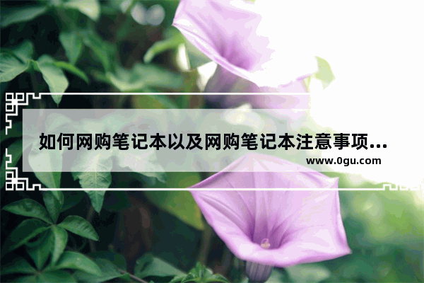 如何网购笔记本以及网购笔记本注意事项(图)