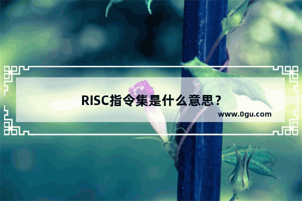 RISC指令集是什么意思？
