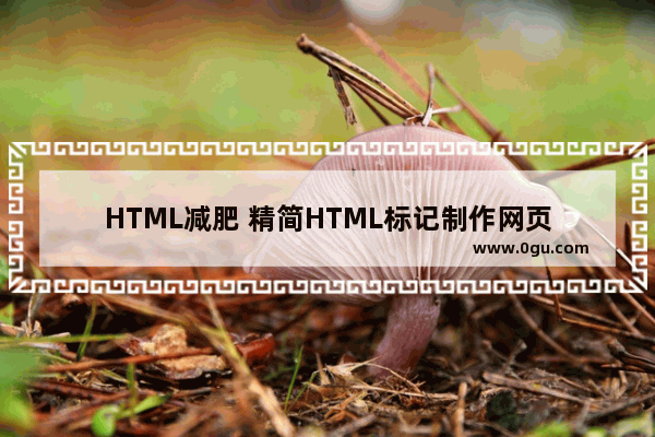 HTML减肥 精简HTML标记制作网页