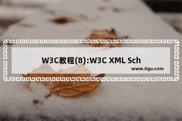 W3C教程(8):W3C XML Schema 活动