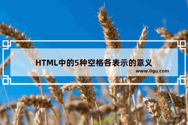 HTML中的5种空格各表示的意义