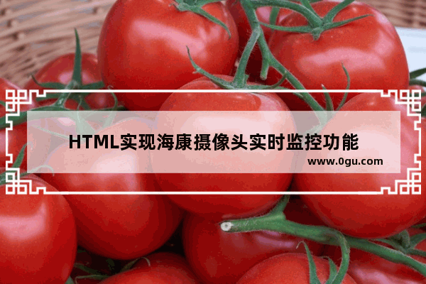 HTML实现海康摄像头实时监控功能