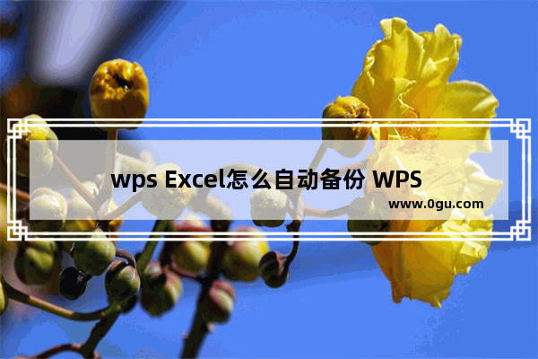 wps Excel怎么自动备份 WPS Excel设置自动备份的方法