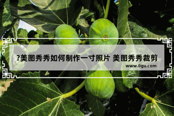 ?美图秀秀如何制作一寸照片 美图秀秀裁剪为标准一寸证件照尺寸的方法教程