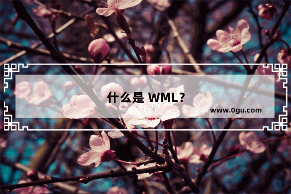 什么是 WML？