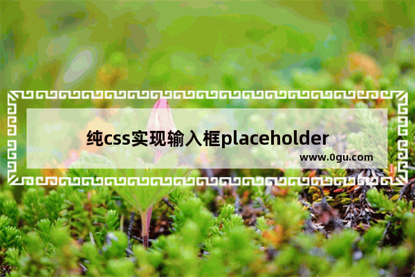 纯css实现输入框placeholder动效及输入校验