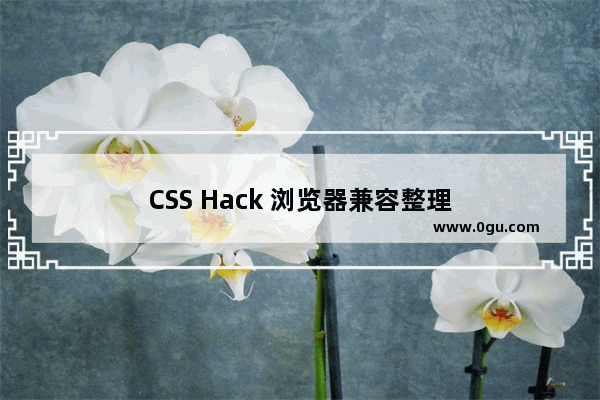 CSS Hack 浏览器兼容整理