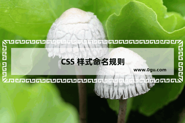 CSS 样式命名规则