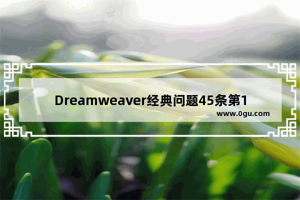 Dreamweaver经典问题45条第1/5页