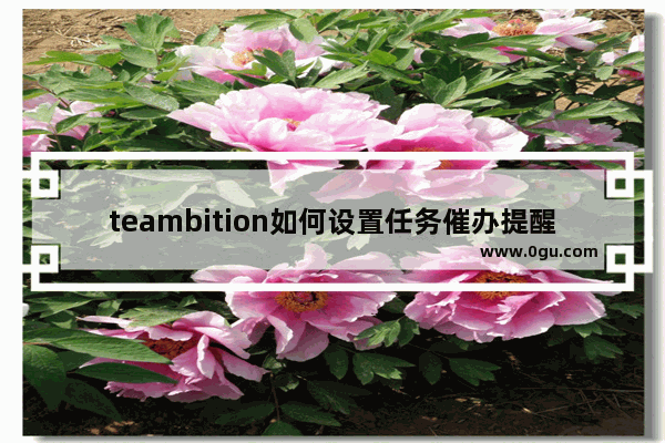 teambition如何设置任务催办提醒 teambition设置任务催办提醒的方法