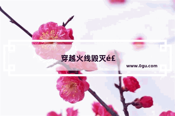 穿越火线毁灭风暴皮肤图片