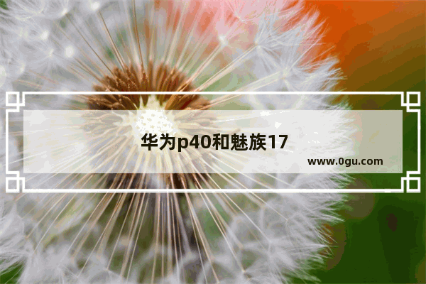 华为p40和魅族17pro相机参数配置