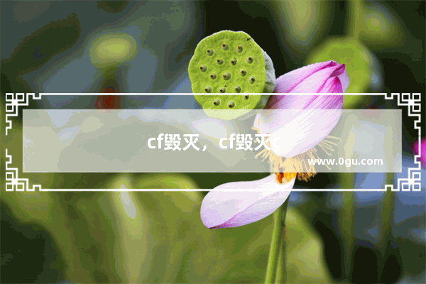 cf毁灭，cf毁灭皮肤价格表