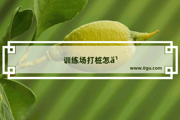 训练场打桩怎么设置