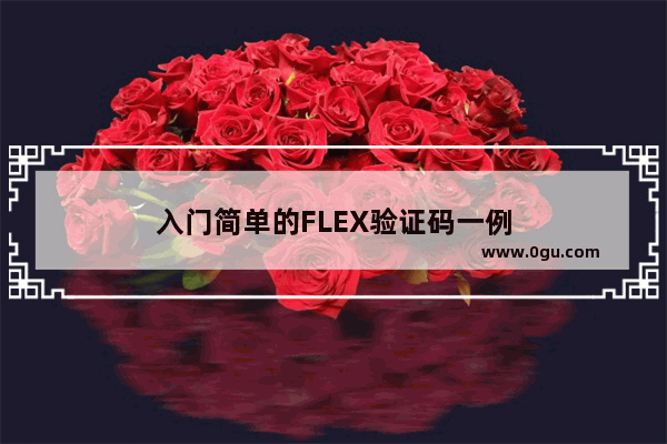 入门简单的FLEX验证码一例