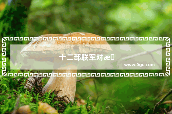 十二部联军对战成吉思汗