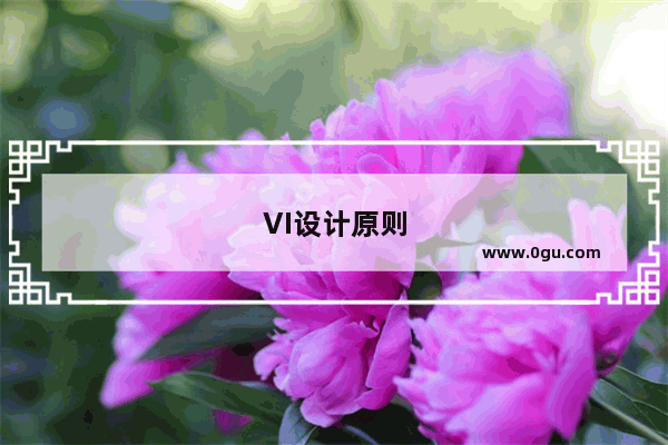 VI设计原则