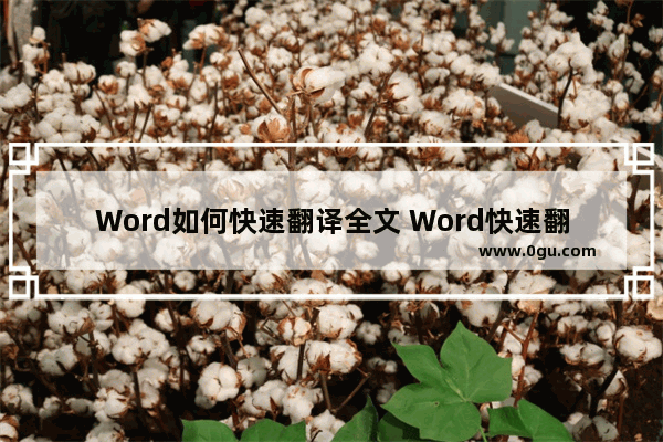 Word如何快速翻译全文 Word快速翻译全文的方法